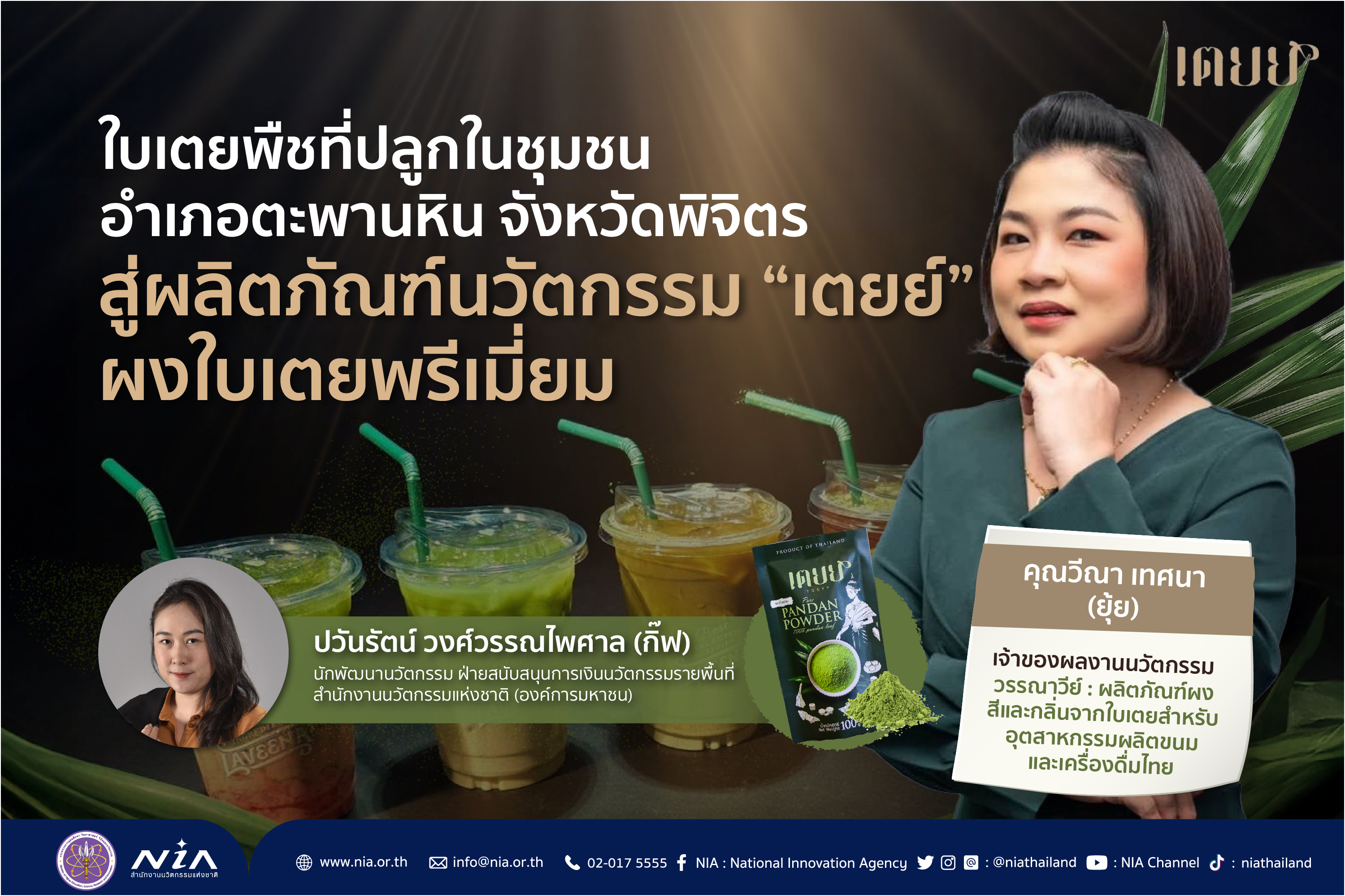ผงใบเตยพรีเมี่ยม